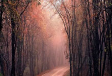 国米、多特皆取胜，40岁卡索拉助奥维耶多时隔24年