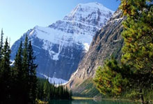 比利时队在欧洲杯预选赛中连败，备战工作亟待加强