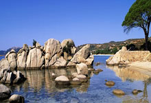 比利时队在欧洲杯预选赛中连败，备战工作亟待加强